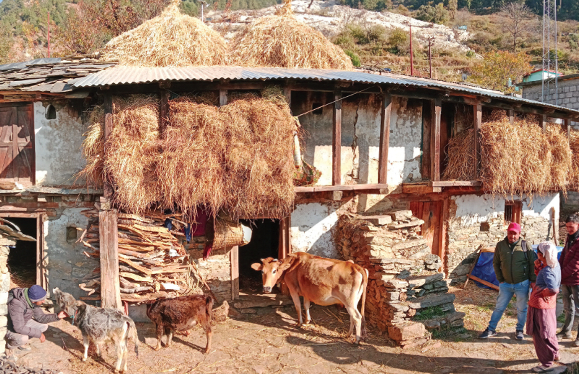 A traditional structure in Joshimath to shelter livestock and store fodder (these come in handy during harsh winters)